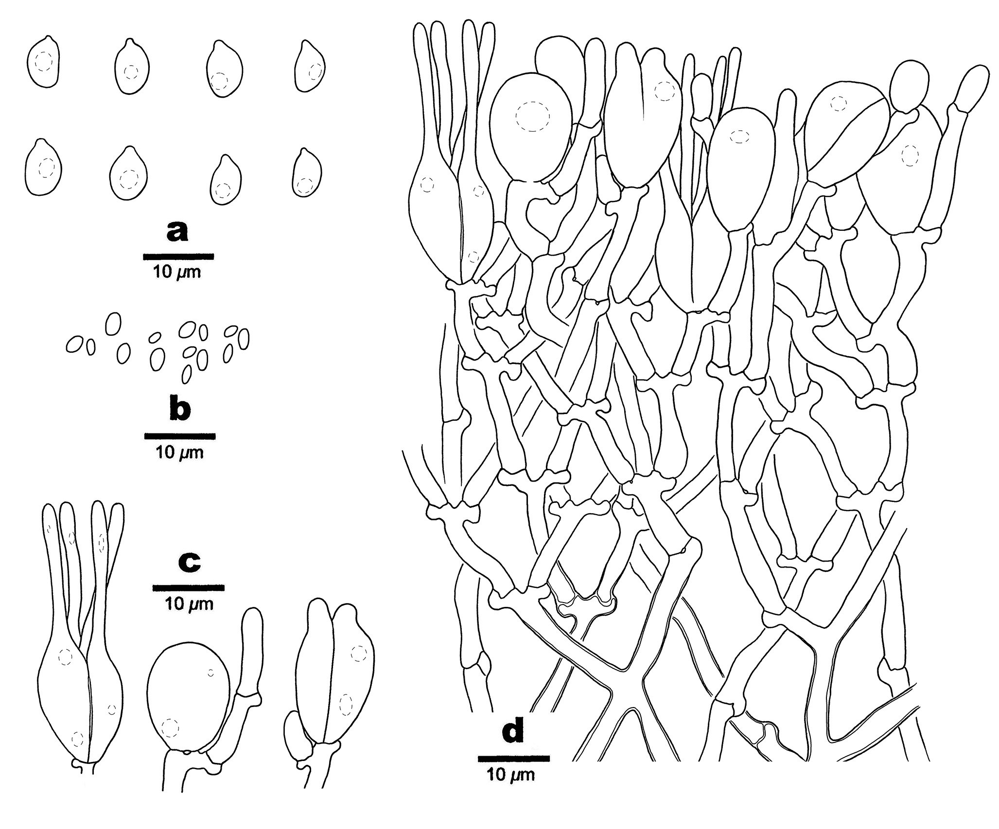 Figure 73